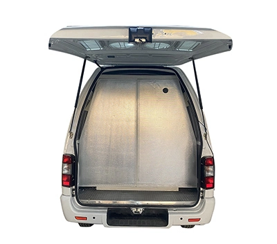 Caixa refrigerada para caminhões & vans